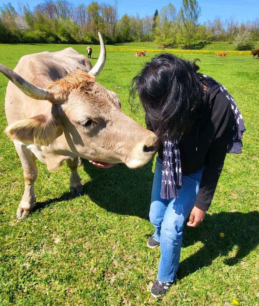 photo seance L’Esprit Animal 