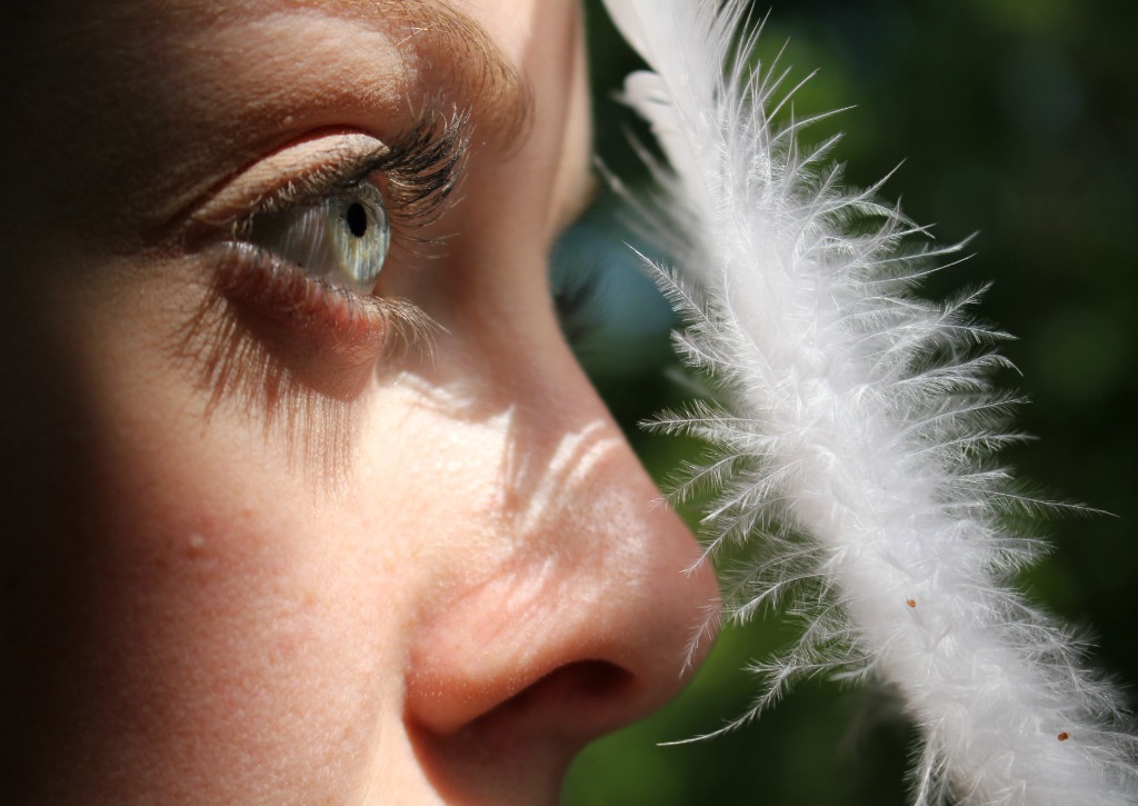 photo cabinet Pauline B