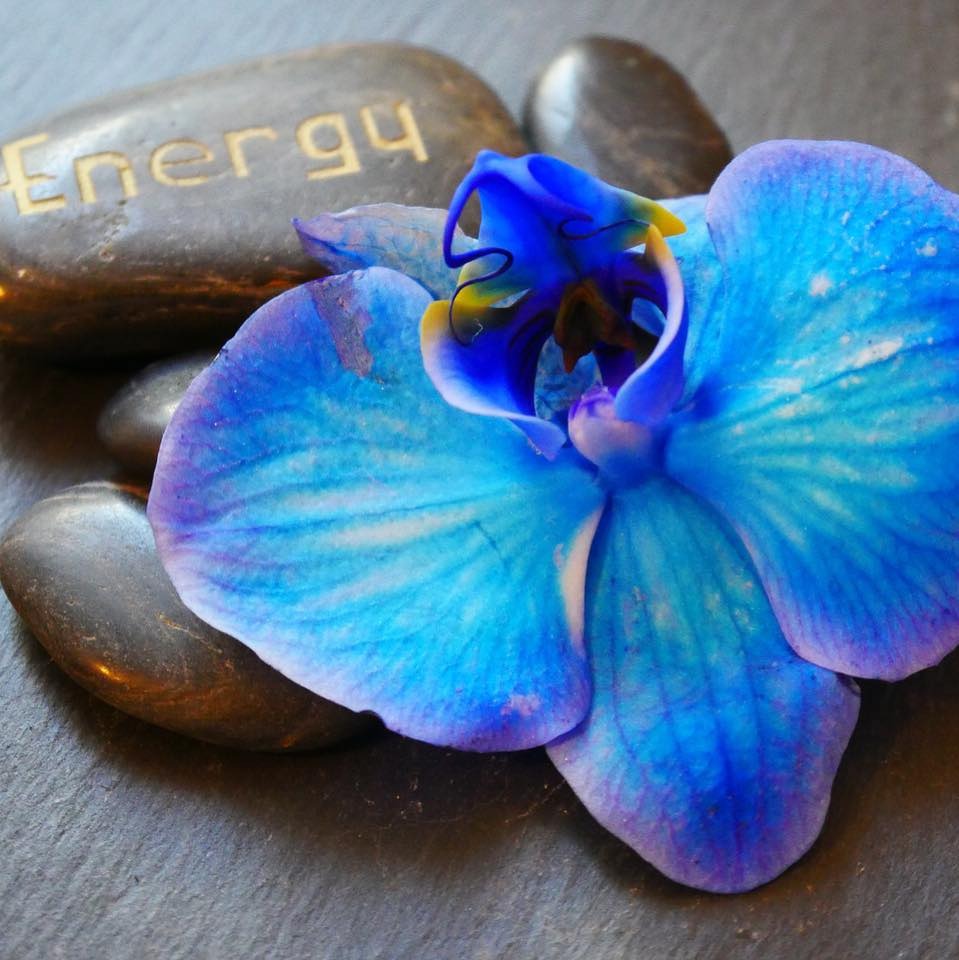 photo activite GWENAELLE EPIPHANA