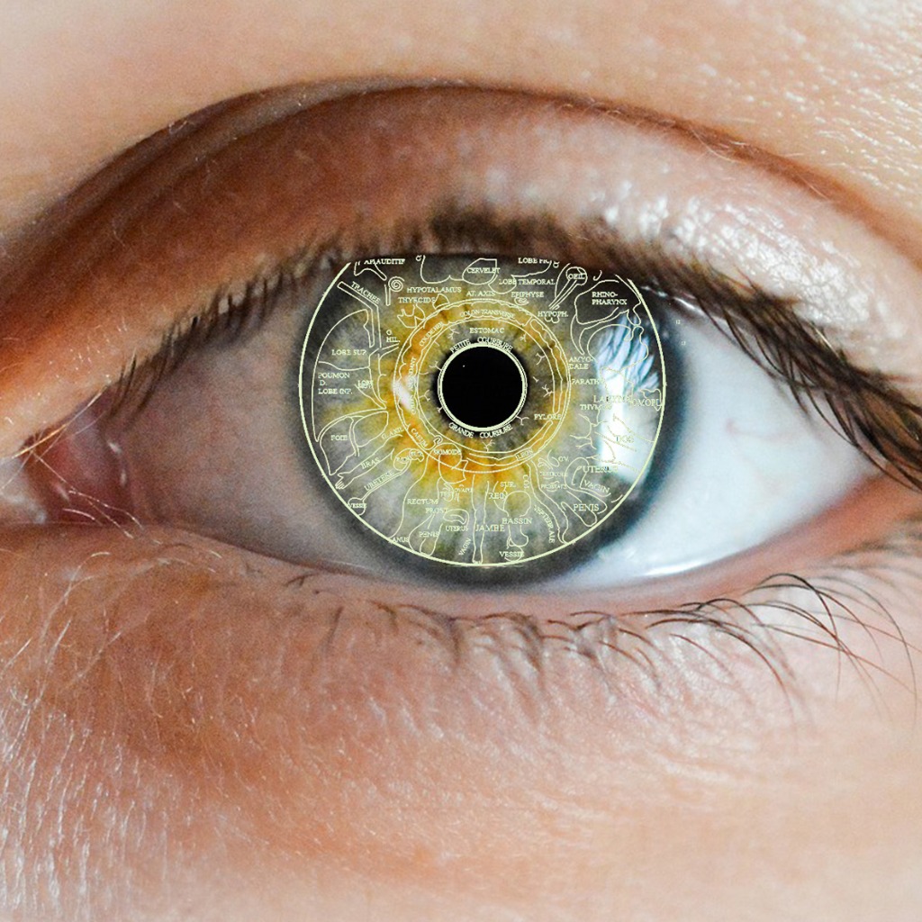 photo activite Olivier Mimet - Naturopathe