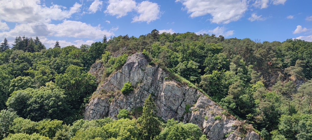 photo activite Annie DELARUE