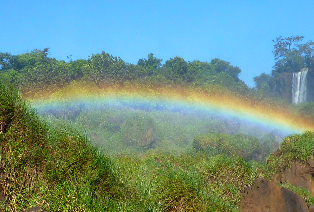 photo activite Sorina Floroiu