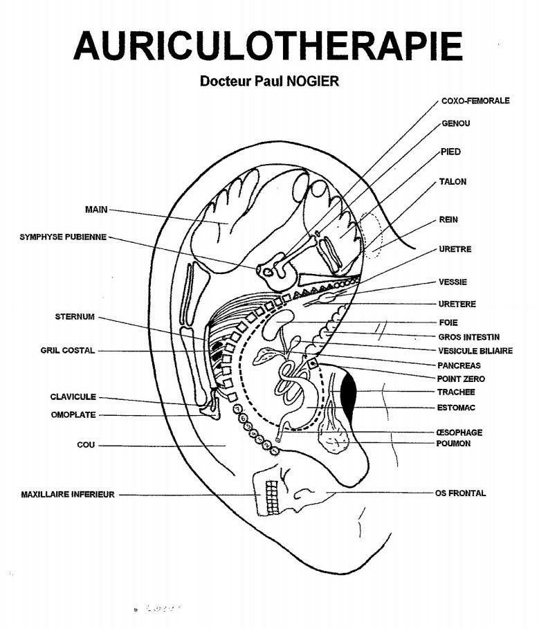 photo activite CABINET DE SOINS EXTRA MEDICAUX GILLES FORGUES