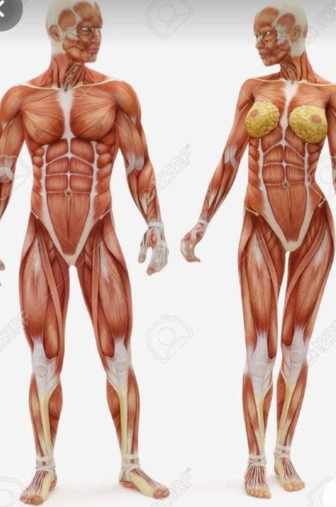 photo diplome Thérapeute-guérisseuse-voyance