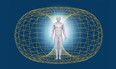 photo cabinet Loic voisin