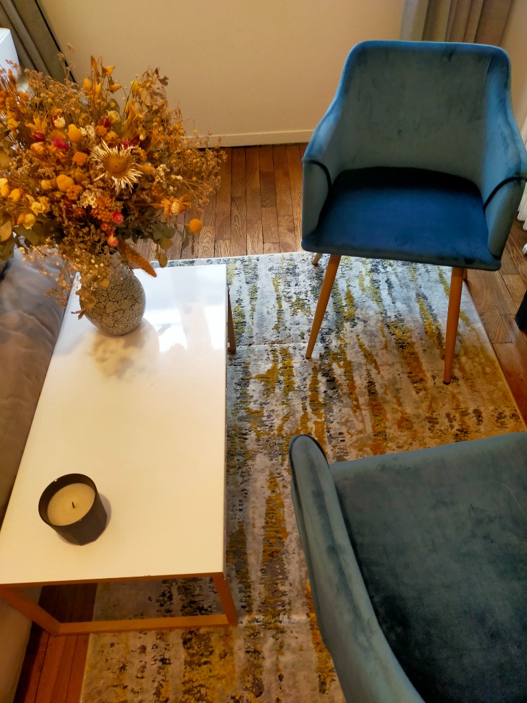 photo cabinet GUILLAUME PALAVIOUX