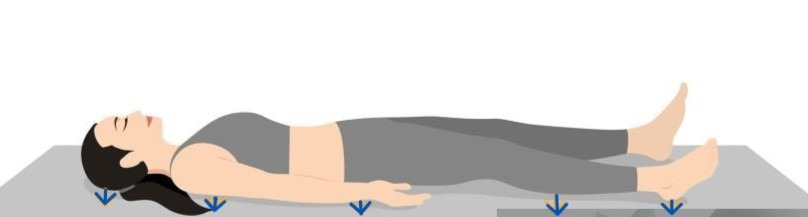 photo activite Laurence ONNO