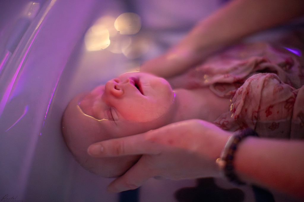 photo seance Bulles d’hippo