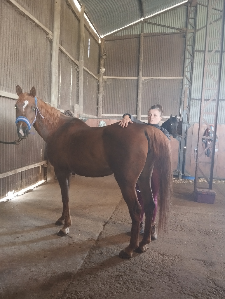 photo activite La Magie Des 5 Sens