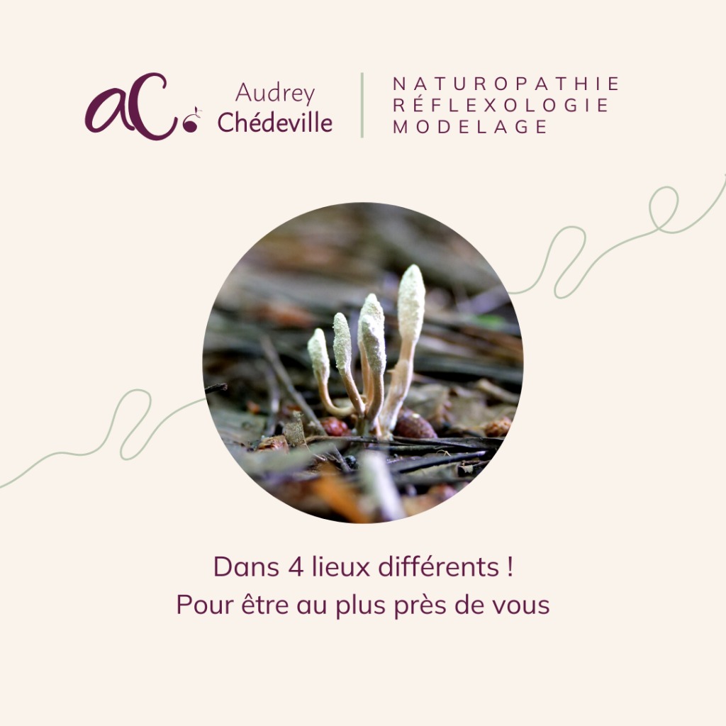 photo cabinet Audrey CHEDEVILLE 