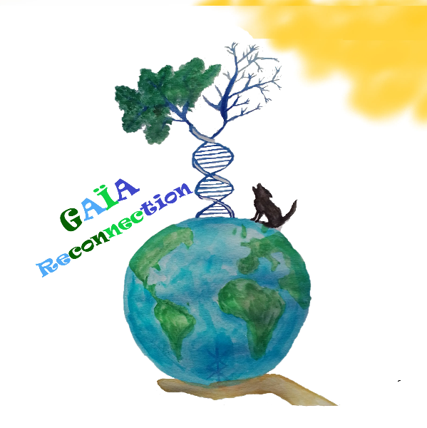 Gaïa reconnection