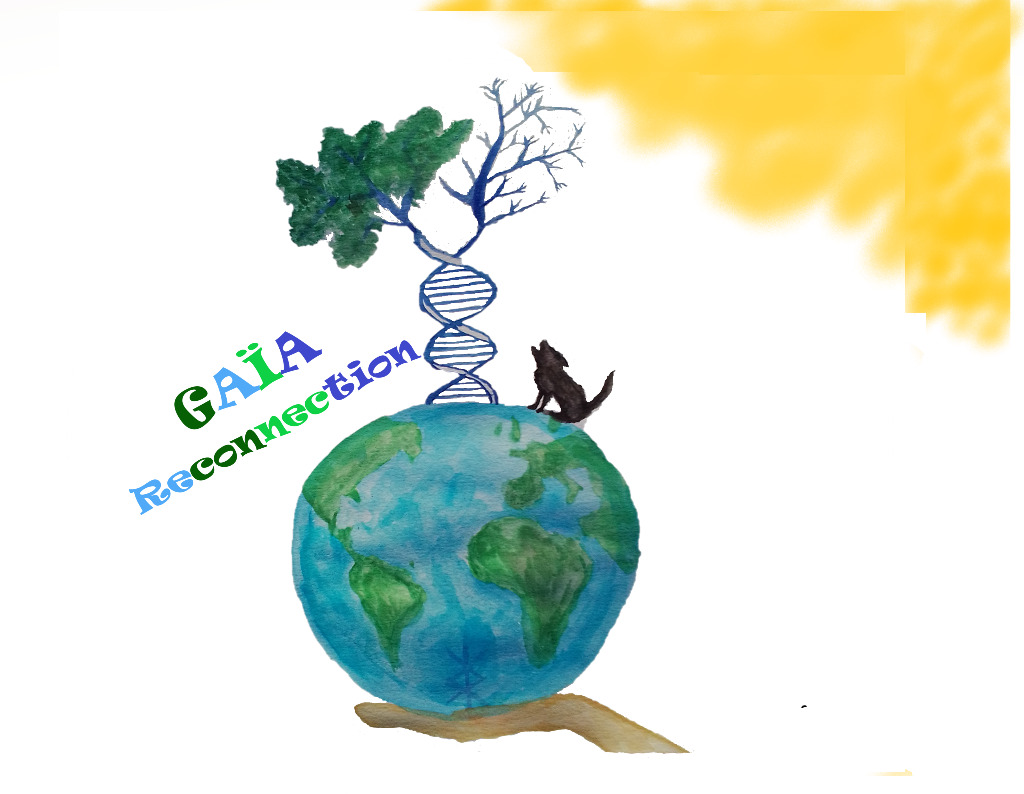 photo activite Gaïa reconnection 