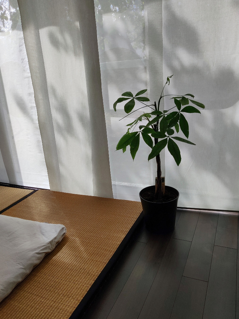 photo diplome Shiatsu Couleur Detente