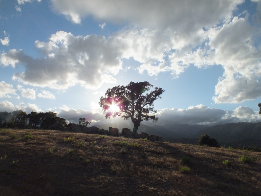 photo cabinet Caroline Chevalier