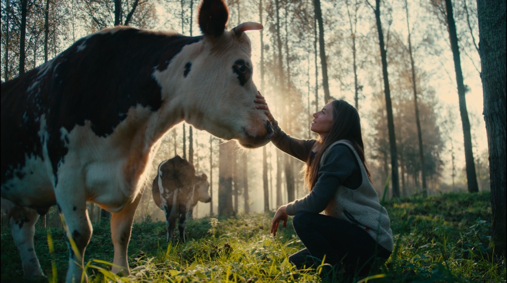 photo activite Petit nuage Equicowching 