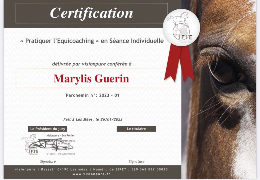 photo diplome Petit nuage Equicowching 