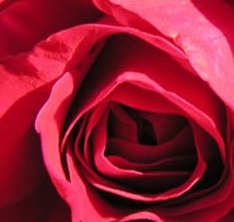 photo cabinet GAILLARD MARON EIRL