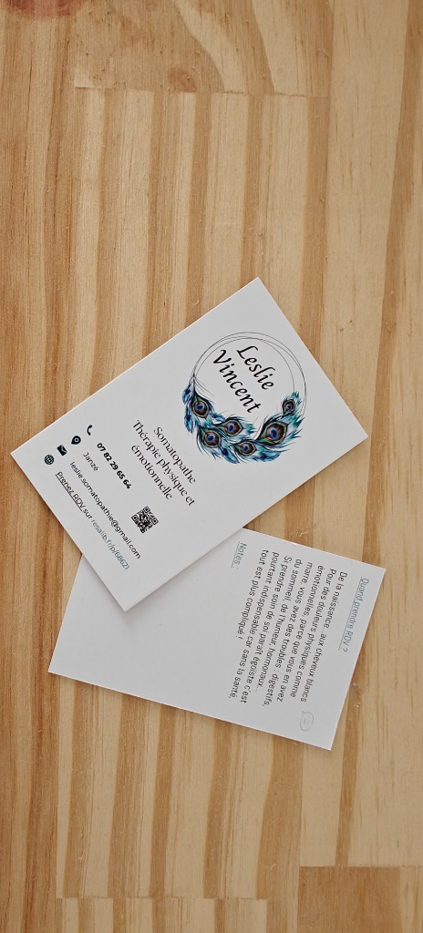 photo activite Leslie Vincent