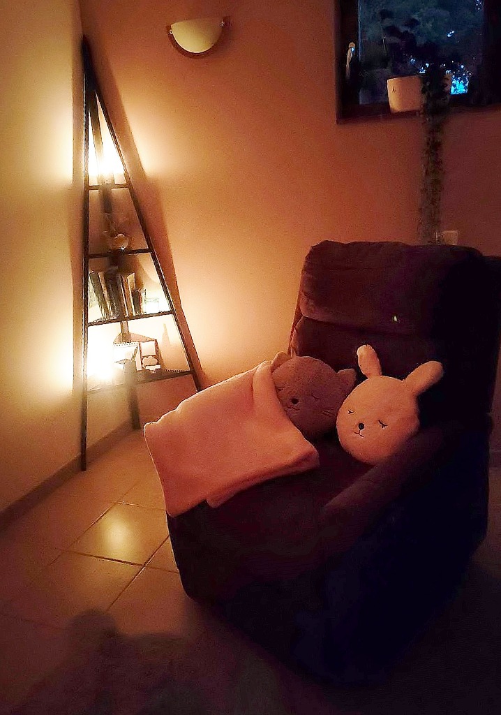 photo seance Nathalie Le Pesteur