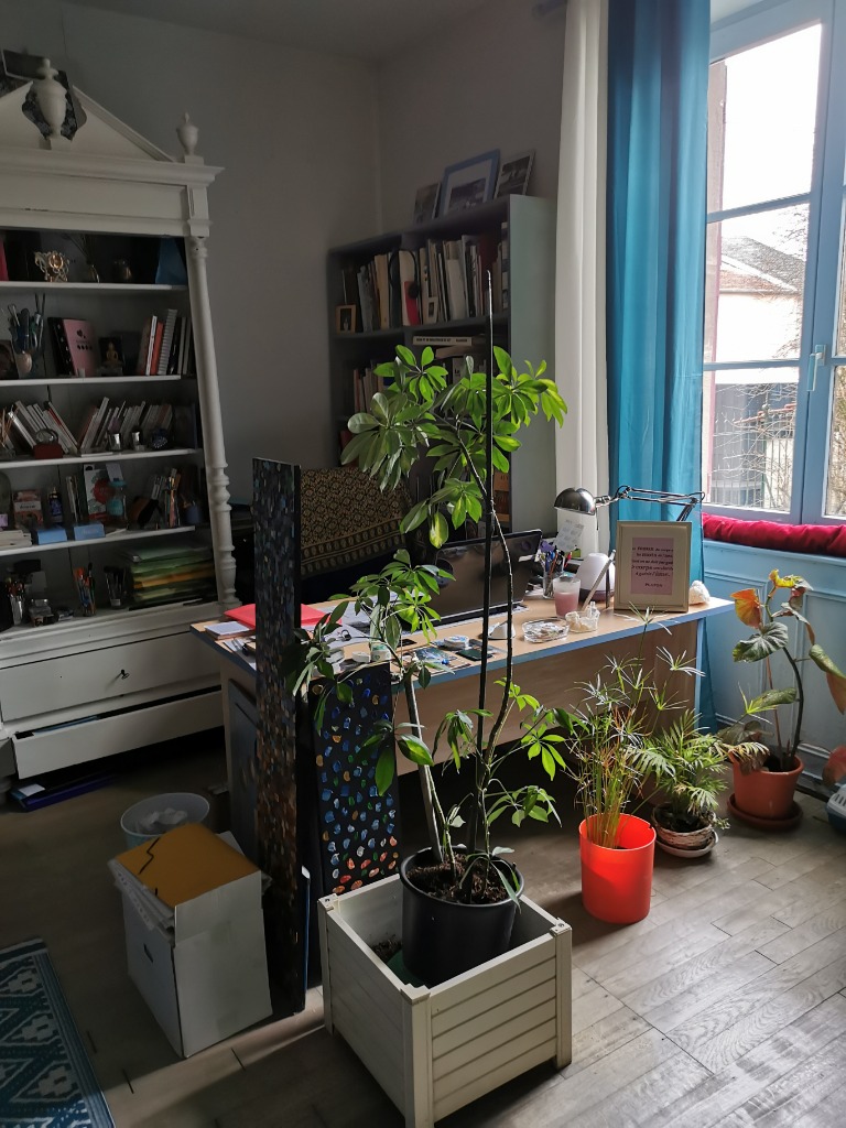 photo activite La Rose Bleue