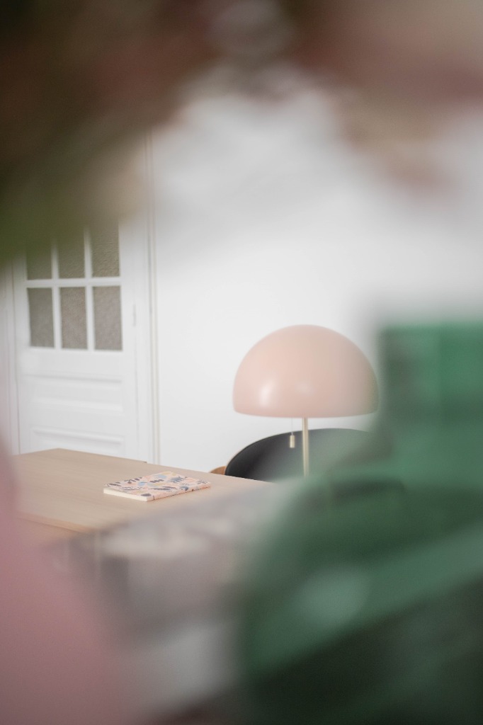 photo cabinet Virginie Cluzel