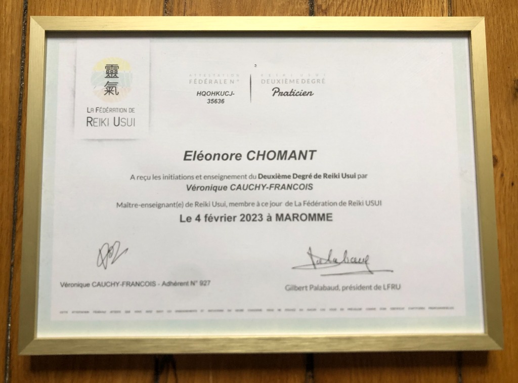 photo diplome SATORI REIKI