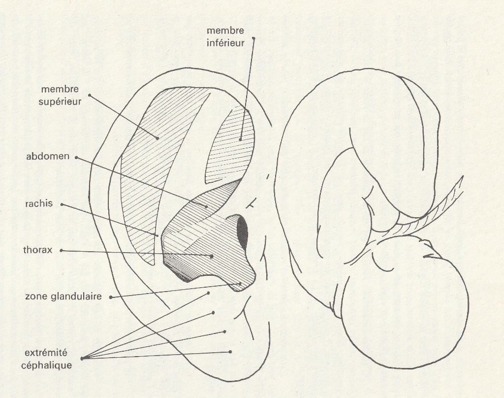 photo activite Hubert Gresser