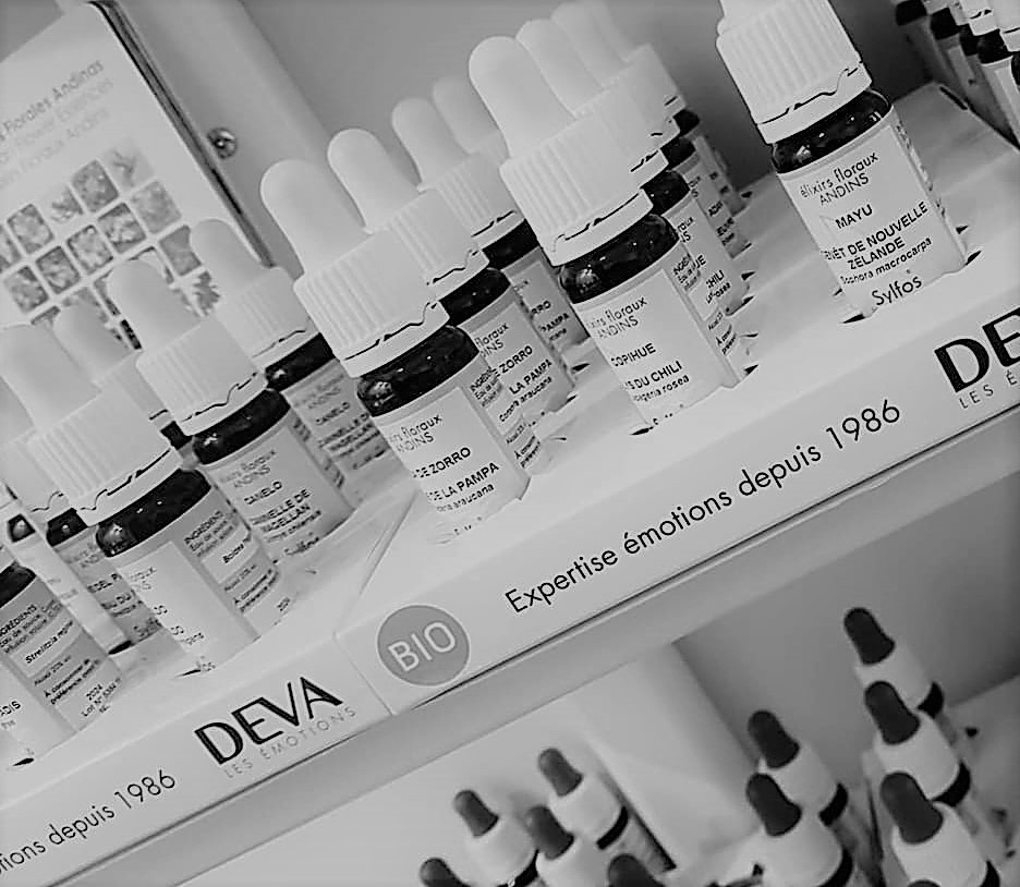 photo seance Eva STRABONI