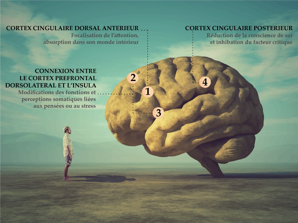 photo activite Thomas Guerin