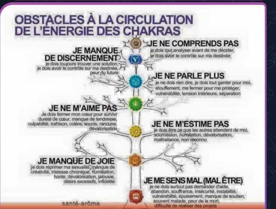 photo diplome Maria-Dolores Garcia