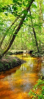 photo cabinet Marie-Christine NOËL