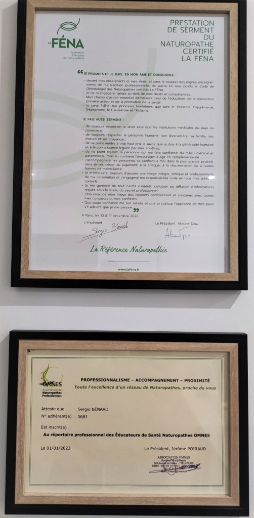 photo diplome Sergio Bénard