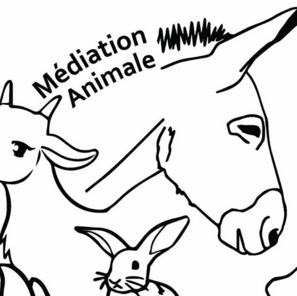 Isabelle chevallereau Médiation animale