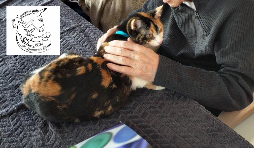 photo activite Isabelle chevallereau