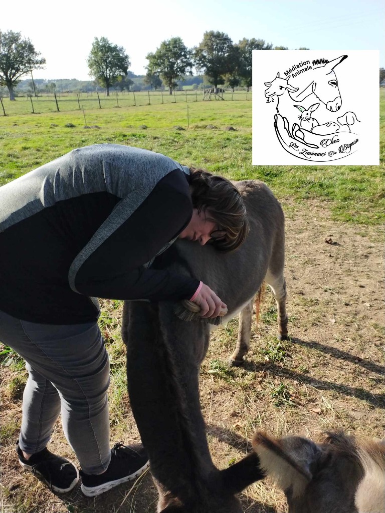 photo seance Isabelle chevallereau Médiation animale