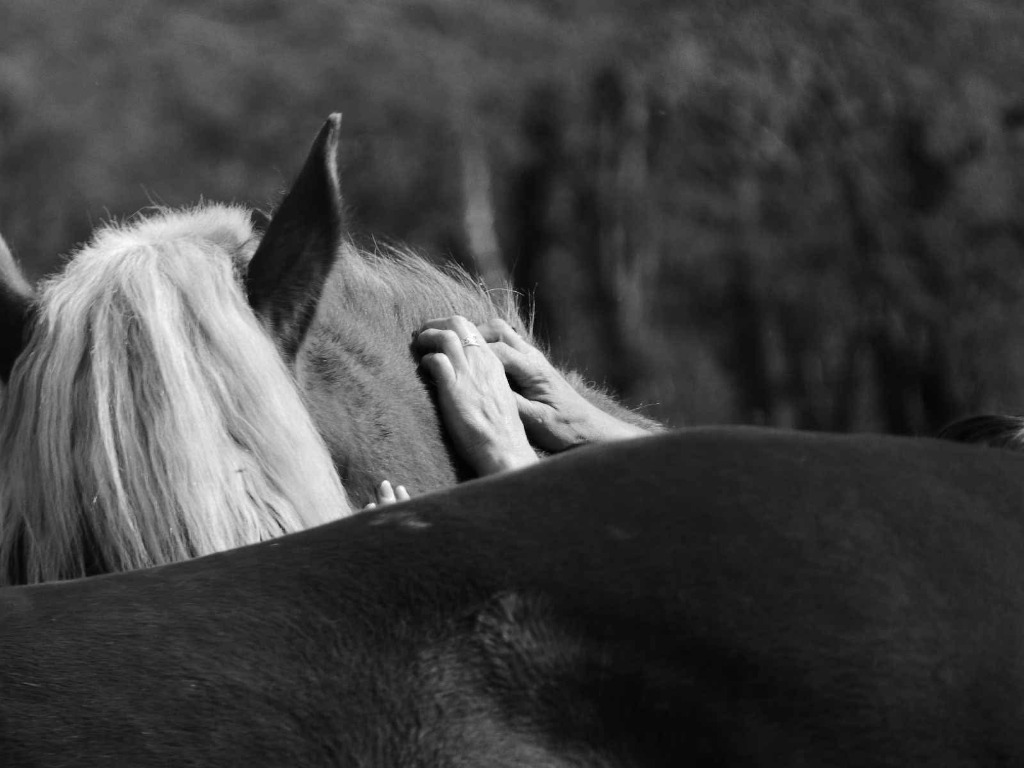 photo seance Morali vanessa