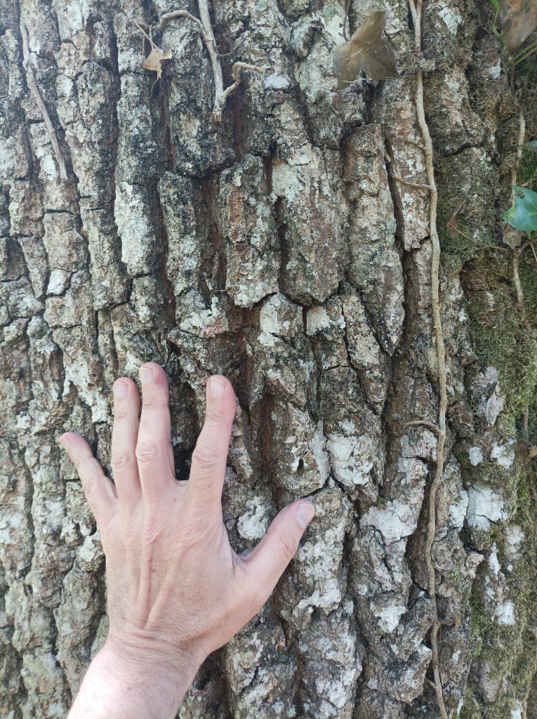 photo activite Frédéric Yvonnet