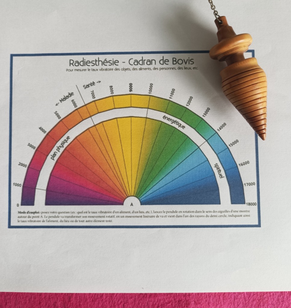 photo portrait Frédéric Yvonnet