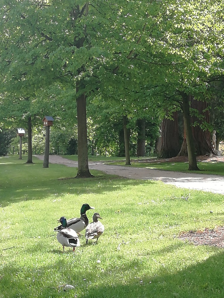 photo cabinet Catherinekuhn