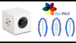 photo activite Thomas Cillufo