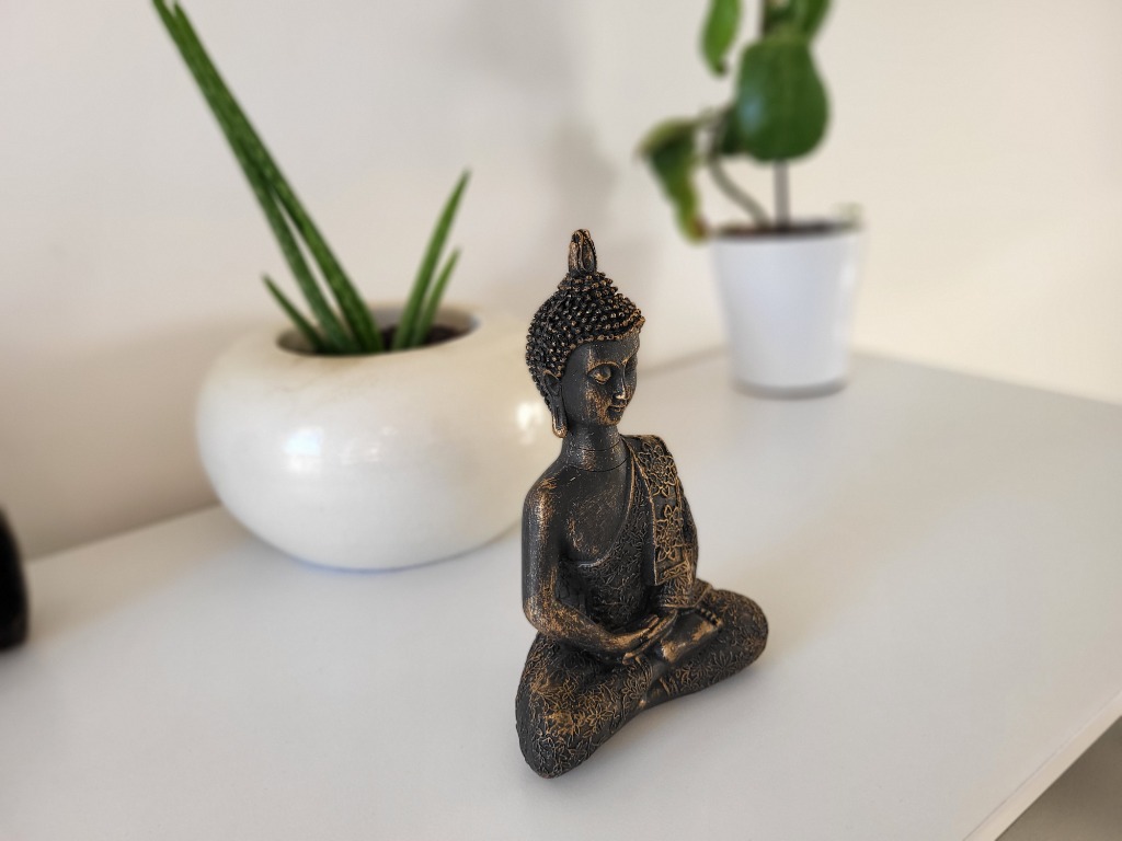 photo cabinet Thomas Cillufo