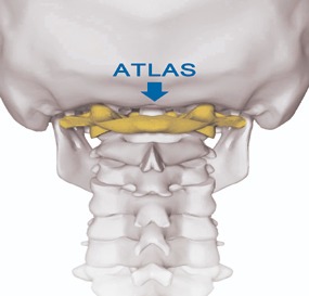 photo seance Thomas Cillufo