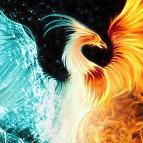 photo portrait Elisabeth ARVY