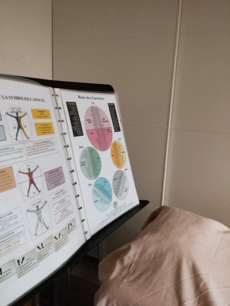 photo activite Alicia Francisco