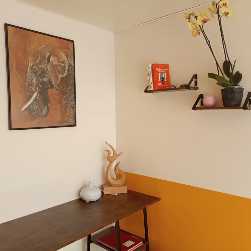 photo cabinet Tatiana Longépé