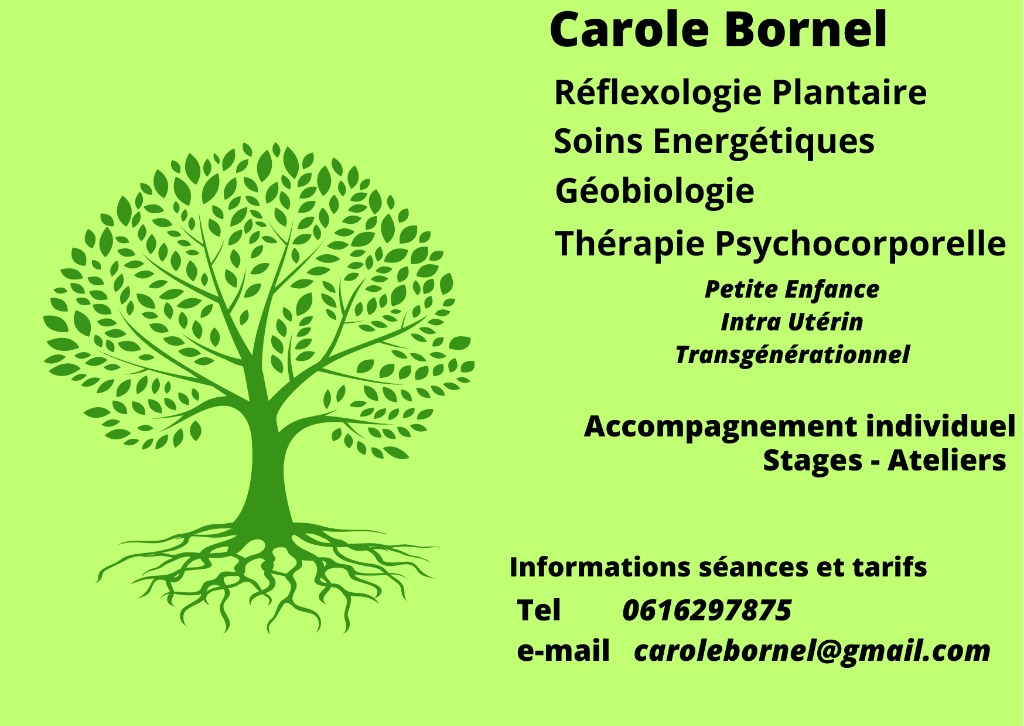 photo activite Carole Bornel