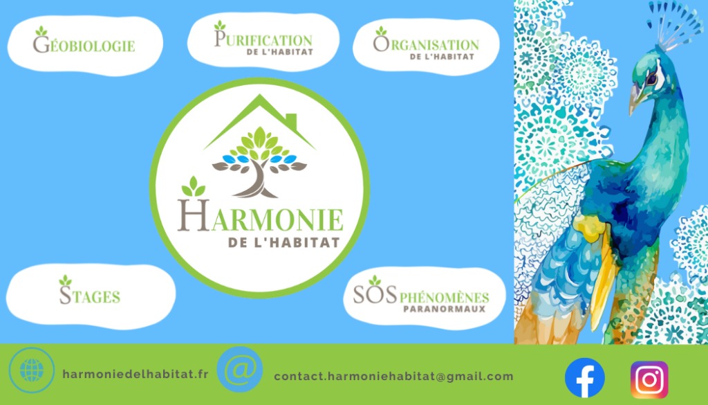 photo activite Claudine CRISTANTE