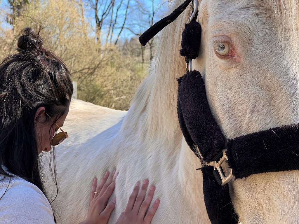 photo activite Marion Ramos Garcia 