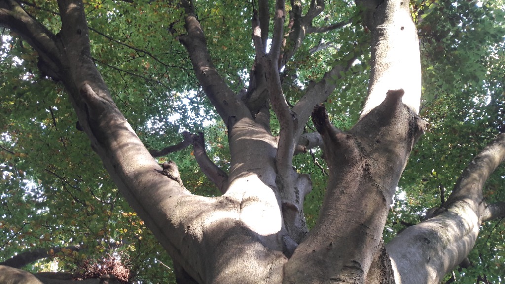 photo seance WADEL Hélène 