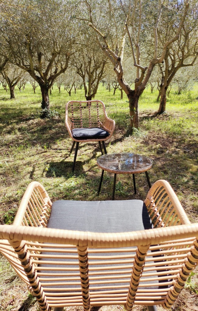 photo cabinet Marion Sauvan